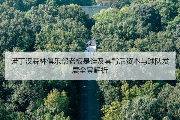 nuo-ding-han-sen-lin-ju-le-bu-lao-ban-shi-shui-ji-qi-bei-hou-zi-ben-yu-qiu-dui-fa-zhan-quan-jing-jie-xi-2-498.jpg