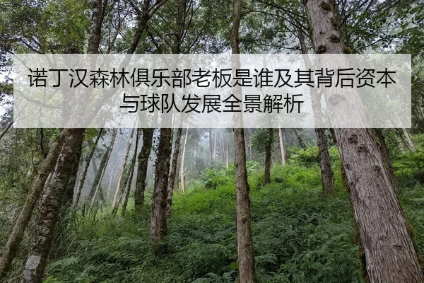 诺丁汉森林俱乐部老板是谁及其背后资本与球队发展全景解析